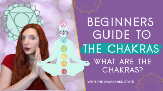 beginners guide to the chakras