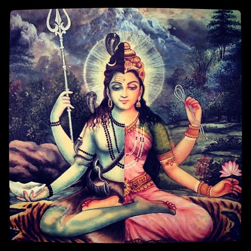 The Androgynous - Shiva & Shakti